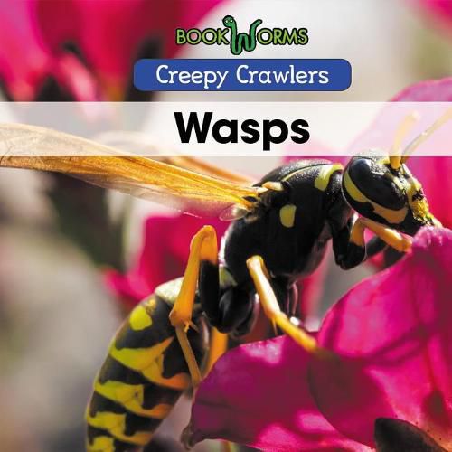 Cover image for Wasps