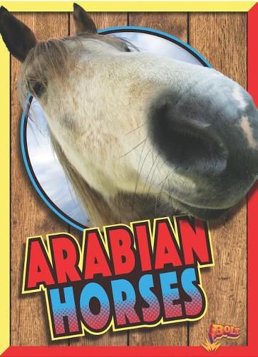 Cover image for Arabian Horses