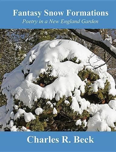 Cover image for Fantasy Snow Formations: Poetry in a New England Garden