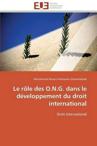 Cover image for Le R le Des O.N.G. Dans Le D veloppement Du Droit International