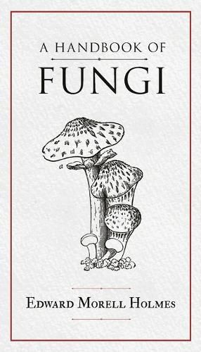 Cover image for A Handbook of Fungi