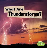 Cover image for What are Thunderstorms? (Wicked Weather)