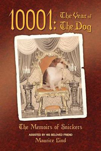 Cover image for 10001: The Year of The Dog