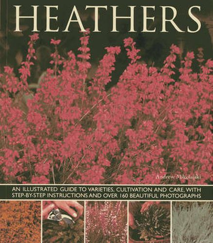 Heathers: An Illustrated Guide to Varities, Cultivation and Care, with Step-by-step Instructions and Over 160 Beautiful Photographs