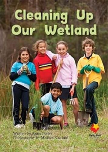 Cover image for Cleaning Up Our Wetlands