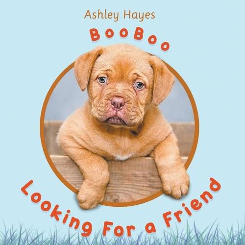 Cover image for Booboo Looking for a Friend