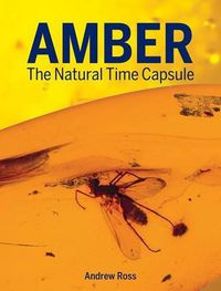 Cover image for Amber: The Natural Time Capsule