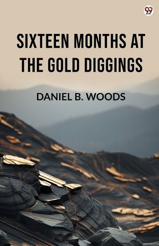 Cover image for Sixteen Months At The Gold Diggings (Edition1)