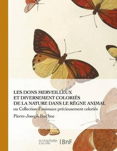 Les Dons Merveilleux Et Diversement Colories de la Nature