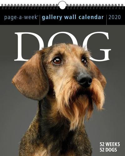 Dog Page A Week Gallery Wall Calendar 2020