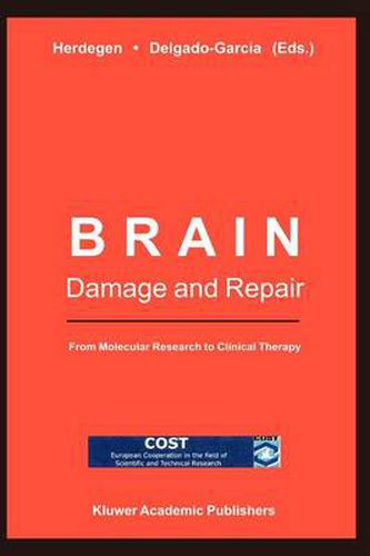 Cover image for Brain Damage and Repair: From Molecular Research to Clinical Therapy