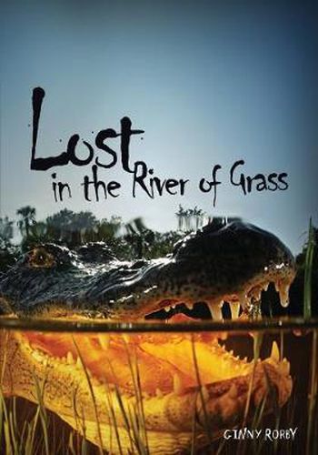 Cover image for Lost in the River of Grass