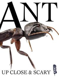 Cover image for Ant