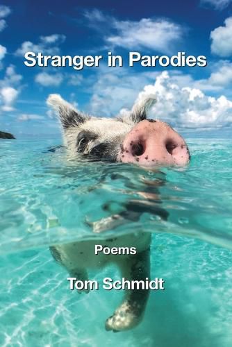 Cover image for Stranger in Parodies