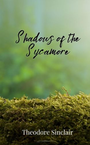 Cover image for Shadows of the Sycamore