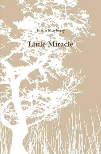 Cover image for Little Miracle