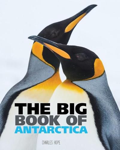 Cover image for The Big Book of Antarctica