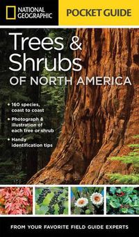 Cover image for National Geographic Pocket Guide to Trees and Shrubs of North America