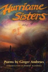 Cover image for Hurricane Sisters