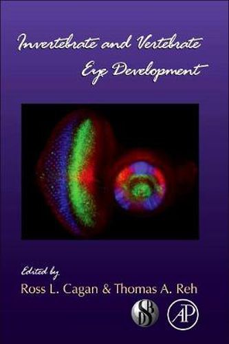 Cover image for Invertebrate and Vertebrate Eye Development