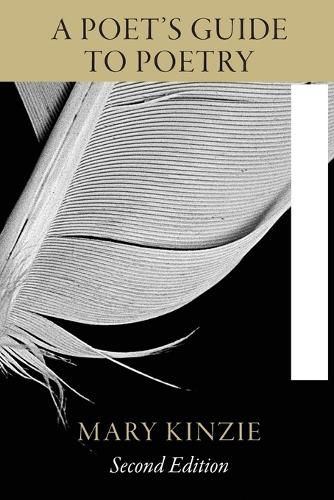 Cover image for A Poet's Guide to Poetry