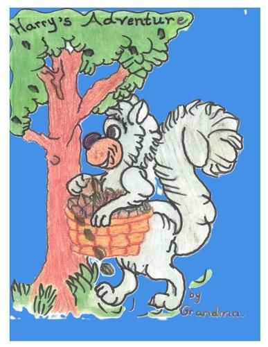 Cover image for Harry's Adventure