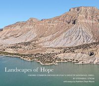 Cover image for Landscapes of Hope