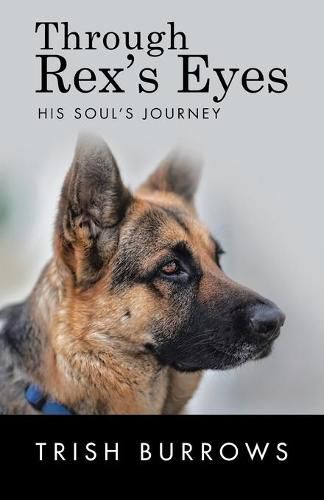 Cover image for Through Rex's Eyes: His Soul's Journey