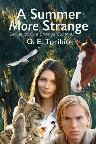 Cover image for A Summer More Strange