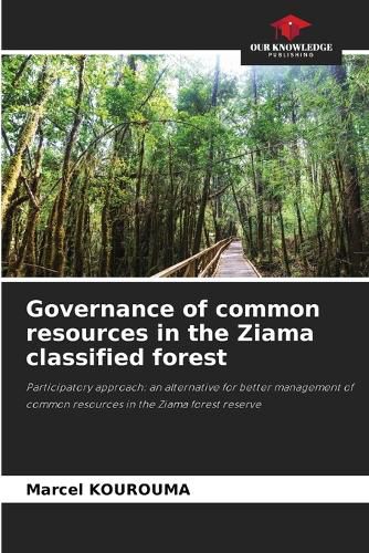 Cover image for Governance of common resources in the Ziama classified forest
