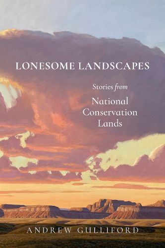 Cover image for Lonesome Landscapes