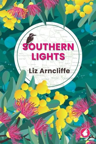 Cover image for Southern Lights