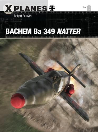 Cover image for Bachem Ba 349 Natter