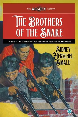 Cover image for The Brothers of the Snake