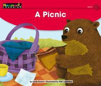 Cover image for A Picnic Leveled Text