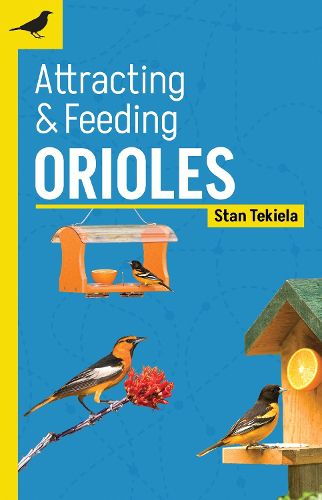 Attracting & Feeding Orioles