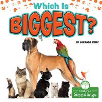 Cover image for Which Is Biggest?