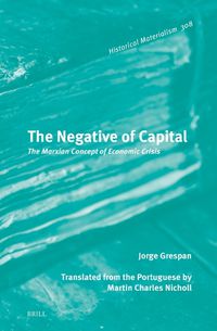 Cover image for The Negative of Capital