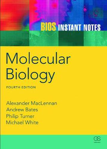 Cover image for BIOS Instant Notes in Molecular Biology: Molecular Biology