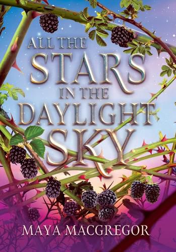 Cover image for All the Stars in the Daylight Sky