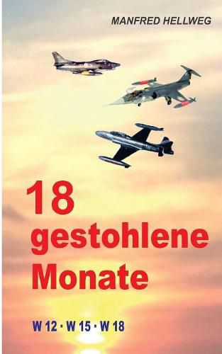 Cover image for 18 gestohlene Monate: W 12 - W 15 - W 18