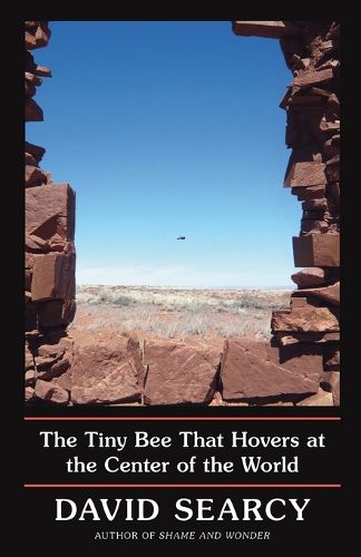 Cover image for The Tiny Bee That Hovers at the Center of the World