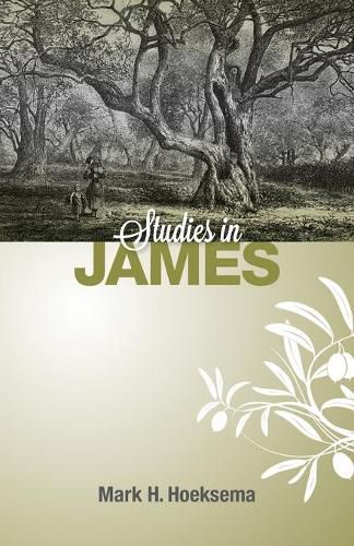 Cover image for Studies in James