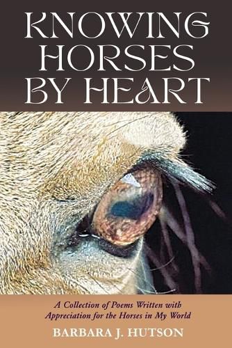 Cover image for Knowing Horses by Heart