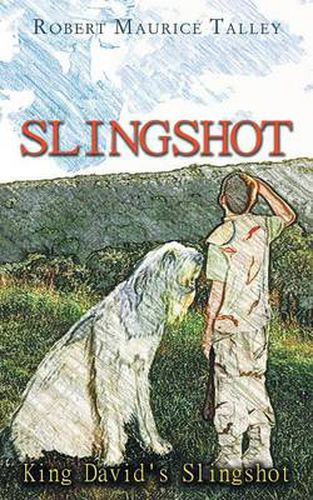 Cover image for Slingshot: King David's Slingshot