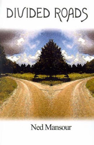 Cover image for Divided Roads