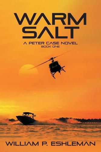 Cover image for Warm Salt