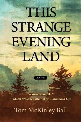 Cover image for This Strange Evening Land