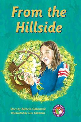 Cover image for From the Hillside