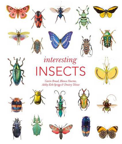 Cover image for Interesting Insects